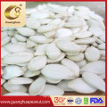 EU Top Quality Shine Skin Pumpkin Seeds From Tianjin